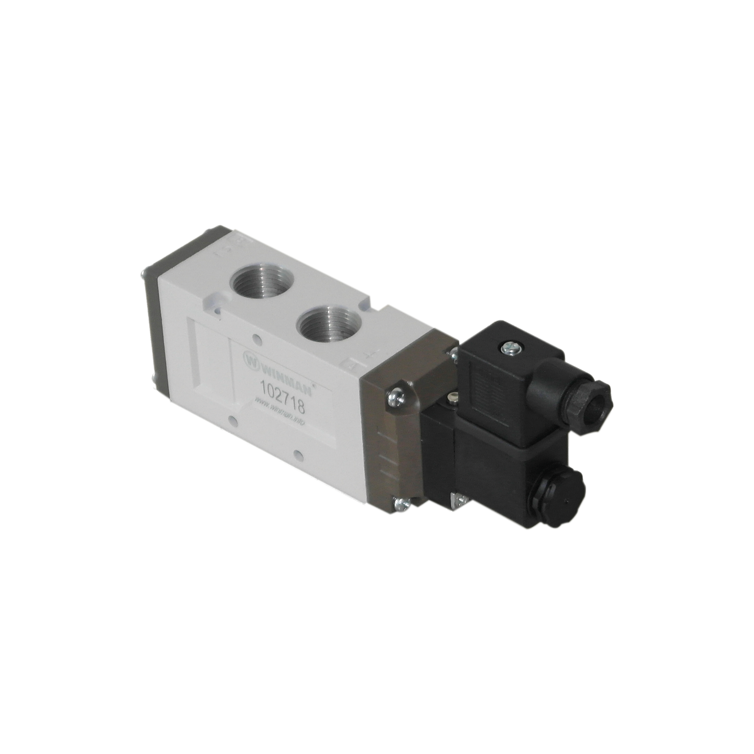 WINMAN SOLENOID BETRIEBENE PNEUMATISCHE VENTILE - SERIE F6000