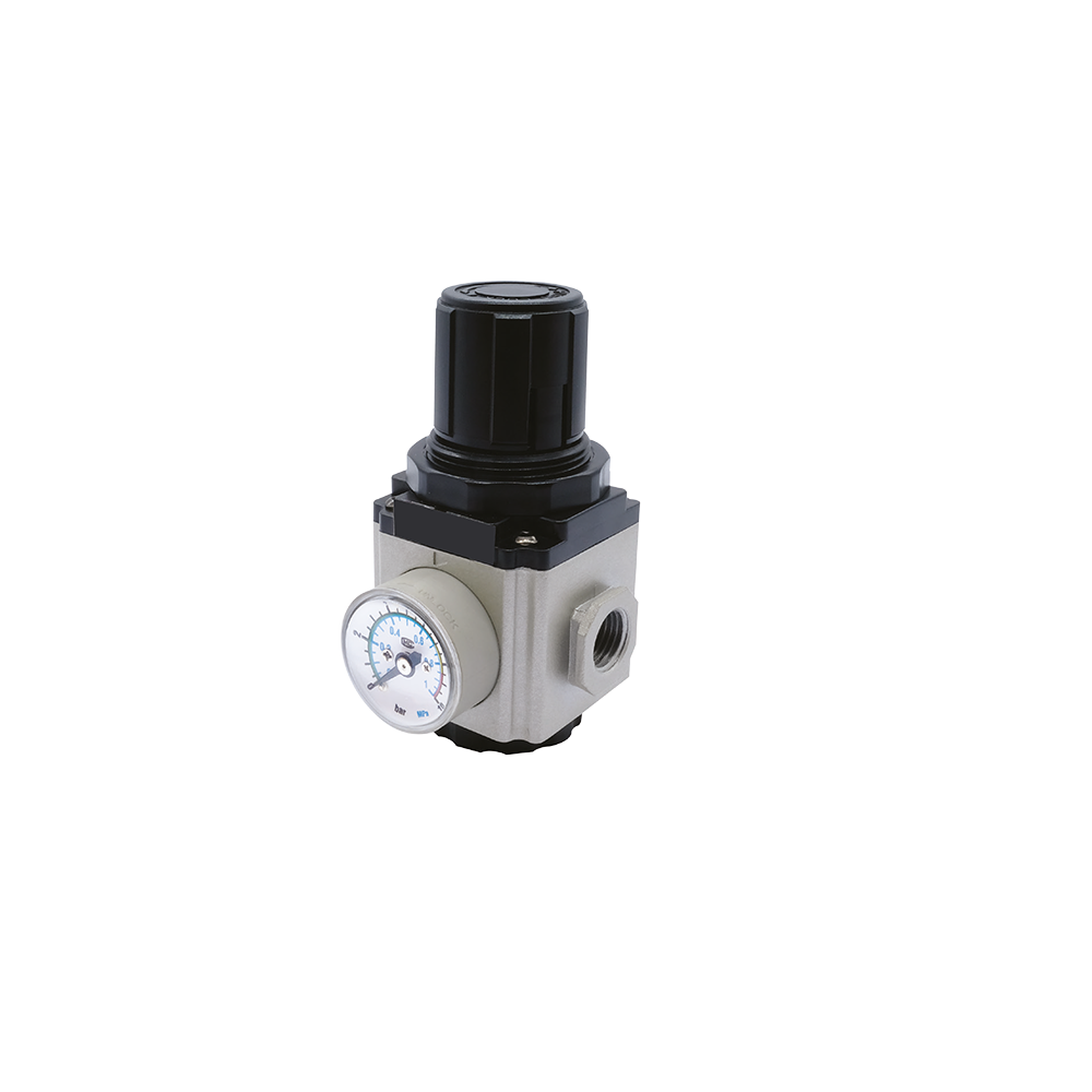  WINMAN GVR SERIES VACUUM REGULATOR